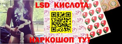 сатива Кандалакша