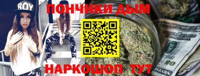 сатива Кандалакша