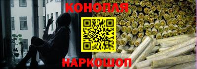 сатива Кандалакша