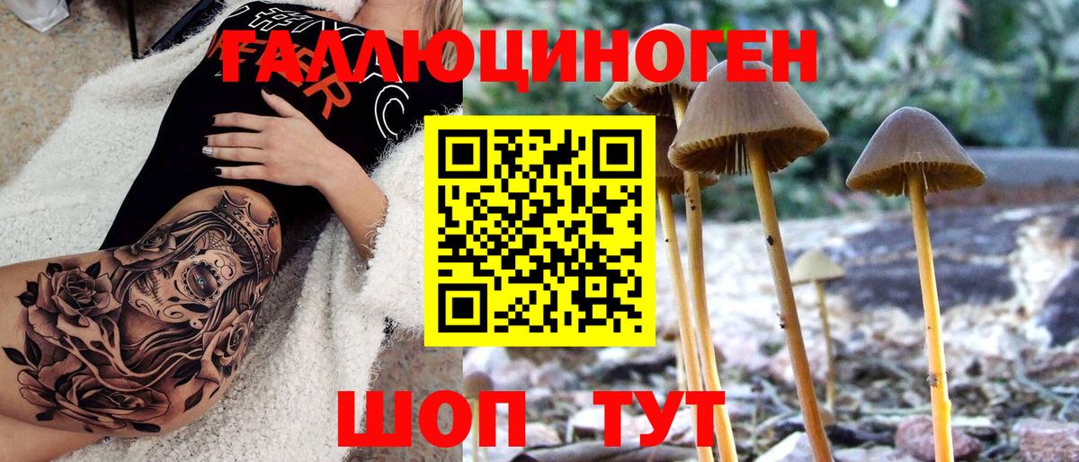 Псилоцибиновые грибы мухоморы  Вход с VPN  Курчалой  Псилоцибиновые грибы мицелий 